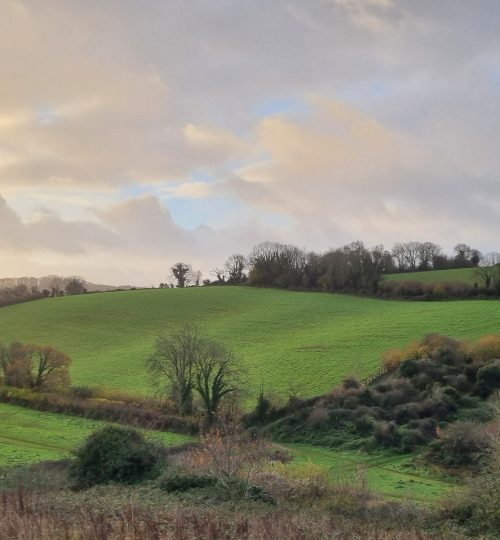 594987177_26443838365217284_2954081416713532607_n