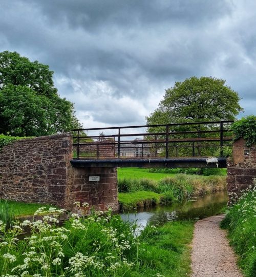 Bridge